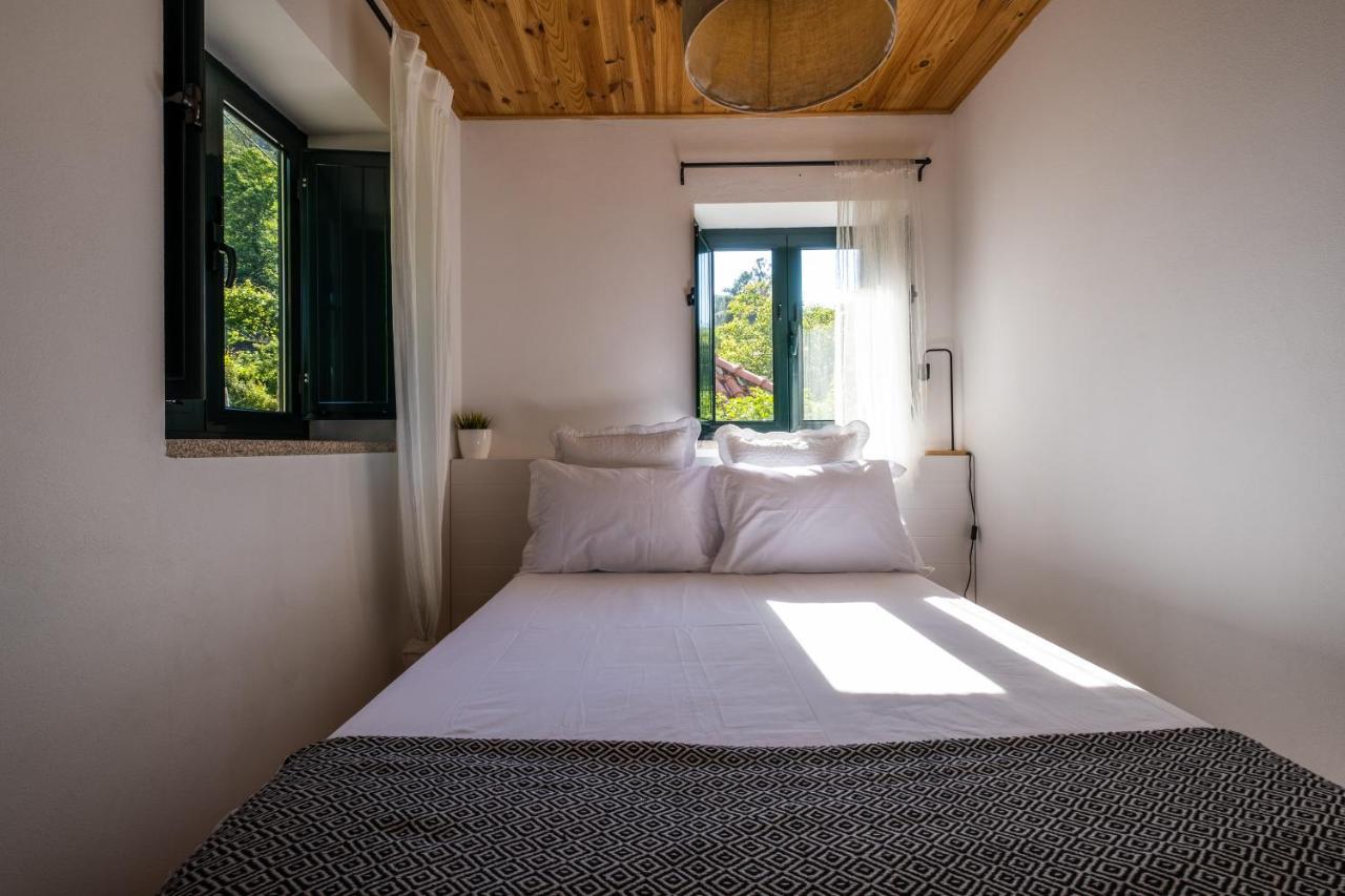 Douro Senses - Village House Cinfães Exteriör bild