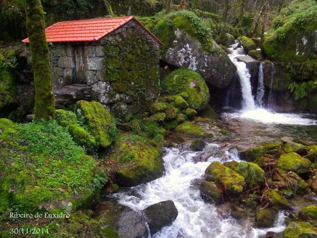 Douro Senses - Village House Cinfães Rum bild
