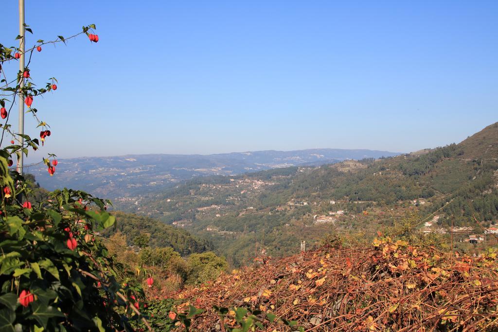 Douro Senses - Village House Cinfães Exteriör bild